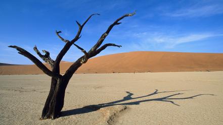 Nature desert wallpaper