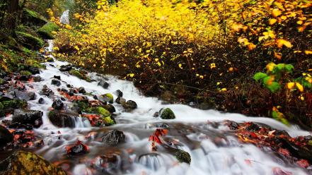Stones streams moss long exposure waterfalls autumn wallpaper