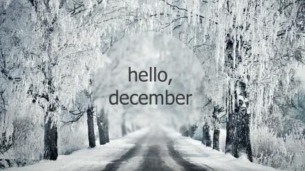 Winter new year december hello 2013 wallpaper