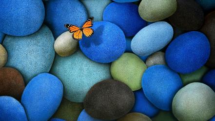 Digital art colors butterflies wallpaper