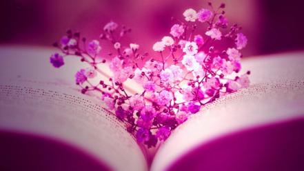 Facebook flowers pink books timeline monochrome cover pages wallpaper
