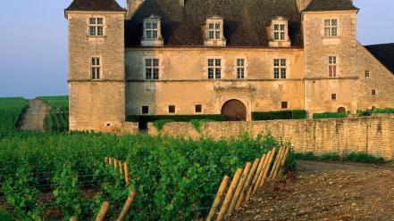 France vineyard wallpaper