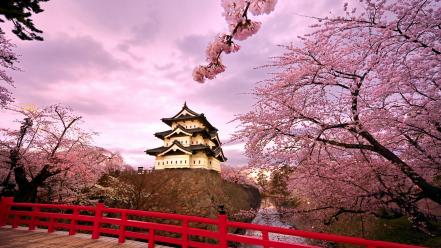 Japan cherry blossoms hirosaki castle wallpaper
