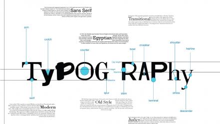 Typography font information diagram typefaces wallpaper