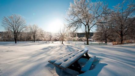 Winter snow trees wallpaper