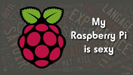Raspberries raspberry pi wallpaper