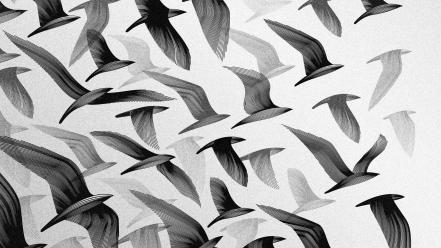 Flying grayscale artwork birds wallpaper