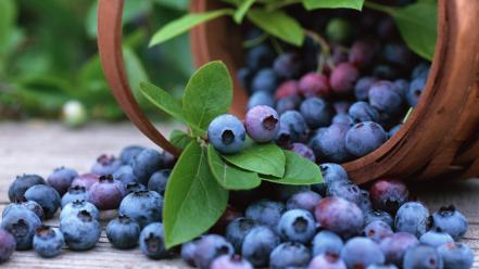 Fruits food baskets blueberries wallpaper