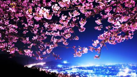 Japan cherry blossoms tokyo cityscapes shin mimura wallpaper