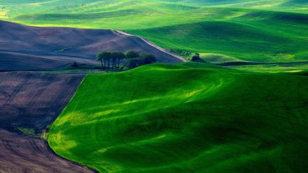 Landscapes nature earth fields viewscape wallpaper