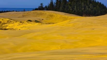 Landscapes nature national oregon dunes wallpaper