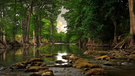 Landscapes nature trees rivers wallpaper