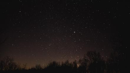 Leaves starry horizon night sky trial skies wallpaper