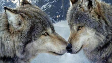 Nature winter snow forest animals wolves lobos wallpaper