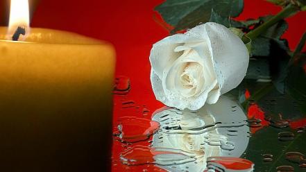 Water flowers candles roses white wallpaper