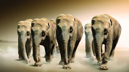 Fantasy art artwork elephants wild wallpaper