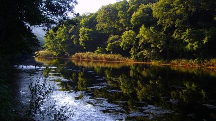 Green water landscapes nature jungle rivers wallpaper