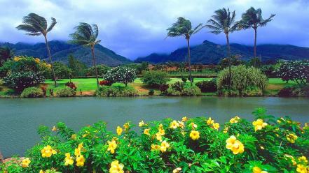 Landscapes nature hawaii wallpaper