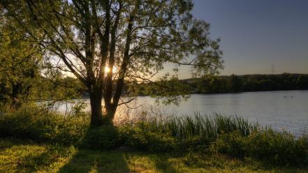 Landscapes nature trees lakes rivers wallpaper