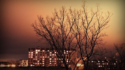 Light trees night buildings skies my photo wallpaper