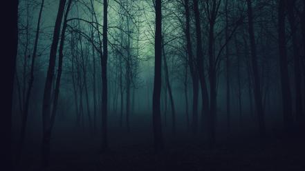 Dark night forest fog mysterious wallpaper