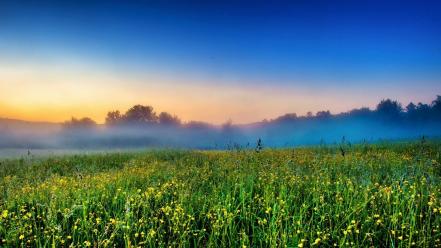 Landscapes nature trees fog crops farms wallpaper