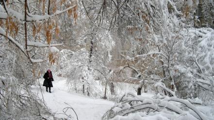 Landscapes nature winter snow walk parks wallpaper