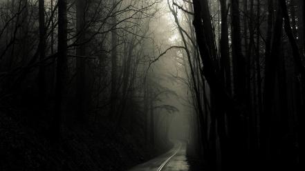 Nature trees dark gothic roads wallpaper