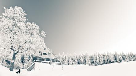 Nature winter snow trees houses roads wallpaper