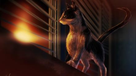 Sunset cats drawings windows wallpaper