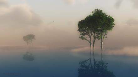 Water trees fog reflections wallpaper