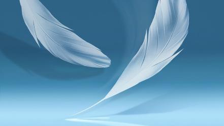 Windows 7 feathers wallpaper