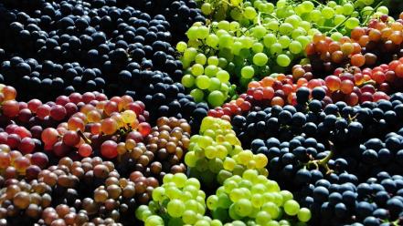 Fruits food grapes wallpaper