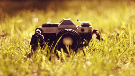 Grass cameras wallpaper