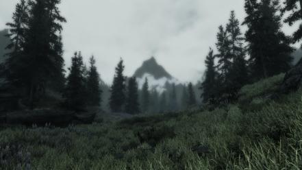 The elder scrolls v: skyrim enb wilderness wallpaper