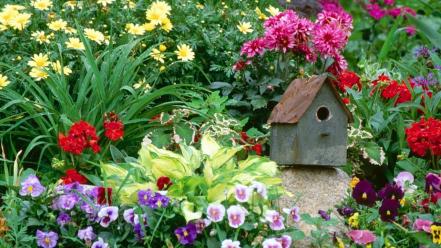 Flowers garden pansies birdhouses wallpaper