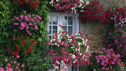 Garden summer france farmhouse brittany wallpaper