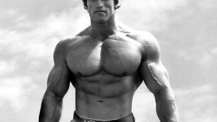 Men arnold schwarzenegger muscles muscular wallpaper