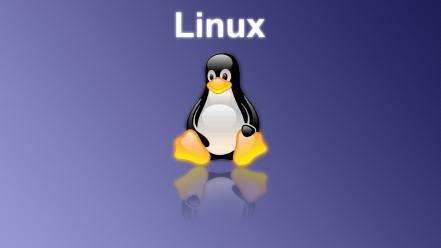 Linux tux penguins wallpaper