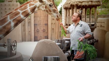 Movies carrots kevin james giraffes zookeeper (movie) wallpaper