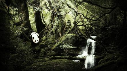 Forest panda bears magic waterfalls pandart design wallpaper