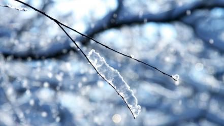 Winter snow bokeh branches complex magazine wallpaper