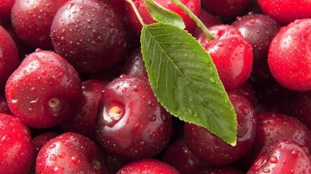 Fruits leaves cherries macro wallpaper