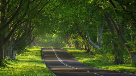 Landscapes nature earth roads viewscape wallpaper