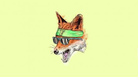Minimalistic animals sunglasses drawings yellow background foxes wallpaper