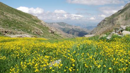 Mountains clouds nature flowers yellow scene wallpaper