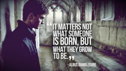 Quotes harry potter daniel radcliffe albus dumbledore wallpaper