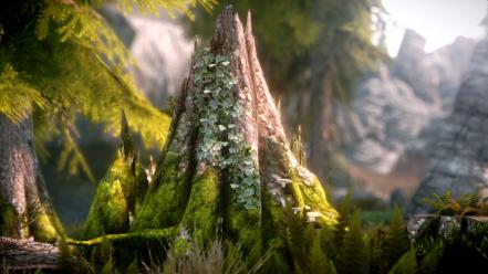 Tree trunk the elder scrolls v: skyrim wallpaper