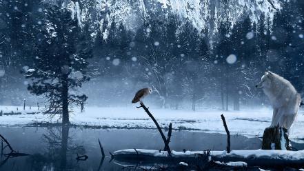 Winter snow trees animals ponds owls wolves wallpaper