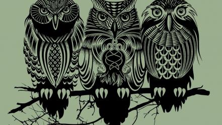 Owls artwork simple background wallpaper